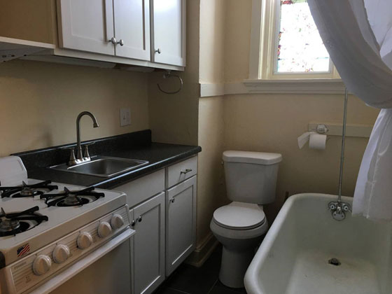 بالصور..  شقة صغيرة ذات تصميم فريد بمطبخ ومرحاض  صورة رقم 1