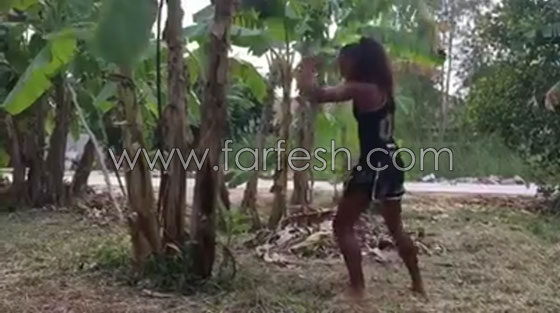 فيديو مدهش.. فتاة تكسر شجرة موز بقدمها! صورة رقم 3