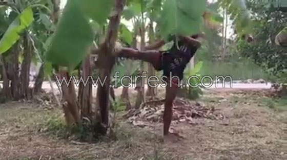 فيديو مدهش.. فتاة تكسر شجرة موز بقدمها! صورة رقم 5