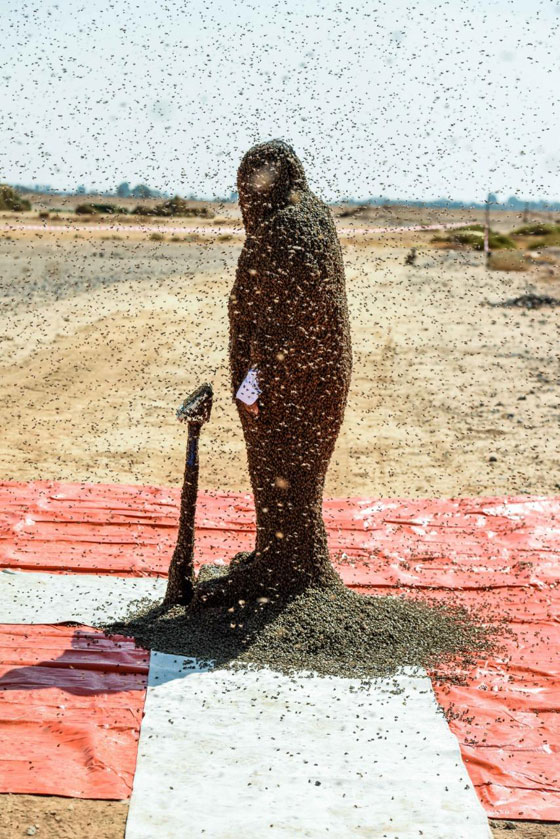 صور: سعودي يحاول دخول موسوعة غينيس بوقوف 100 كيلو من النحل على جسمه! صورة رقم 1