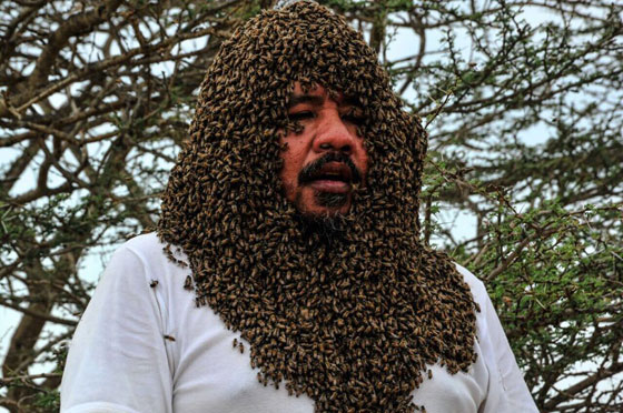 صور: سعودي يحاول دخول موسوعة غينيس بوقوف 100 كيلو من النحل على جسمه! صورة رقم 4
