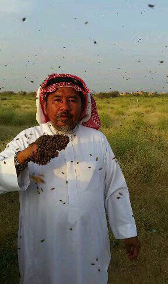 صور: سعودي يحاول دخول موسوعة غينيس بوقوف 100 كيلو من النحل على جسمه! صورة رقم 8