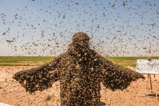 صور: سعودي يحاول دخول موسوعة غينيس بوقوف 100 كيلو من النحل على جسمه! صورة رقم 3