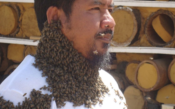 صور: سعودي يحاول دخول موسوعة غينيس بوقوف 100 كيلو من النحل على جسمه! صورة رقم 11
