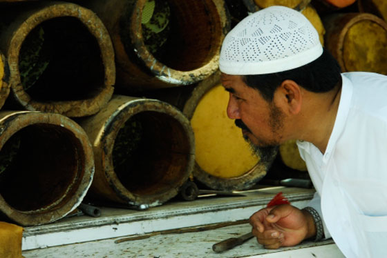 صور: سعودي يحاول دخول موسوعة غينيس بوقوف 100 كيلو من النحل على جسمه! صورة رقم 12