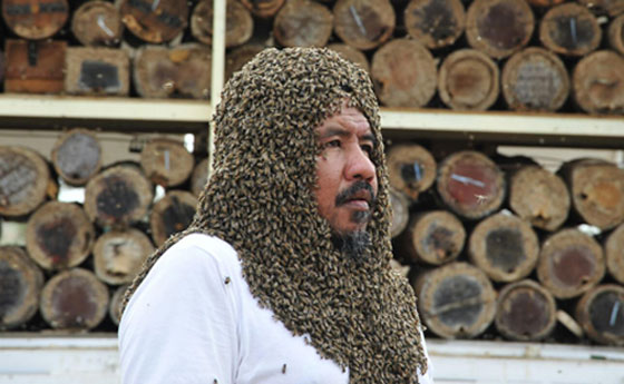 صور: سعودي يحاول دخول موسوعة غينيس بوقوف 100 كيلو من النحل على جسمه! صورة رقم 13