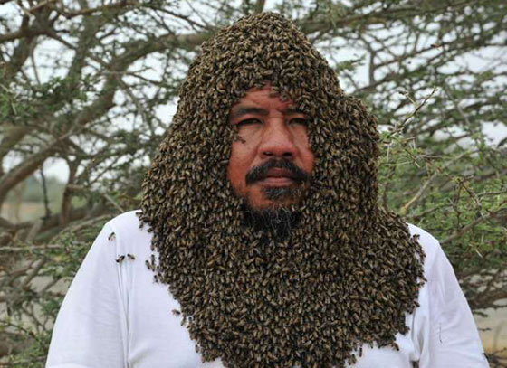 صور: سعودي يحاول دخول موسوعة غينيس بوقوف 100 كيلو من النحل على جسمه! صورة رقم 14