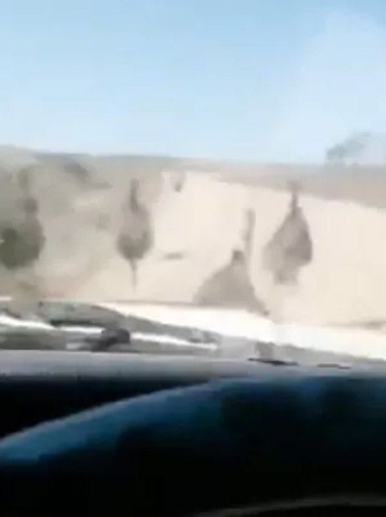 فيديو قاسي.. سائق أسترالي يقوم بدهس موكب من النعام عن عمد وهو يضحك! صورة رقم 4