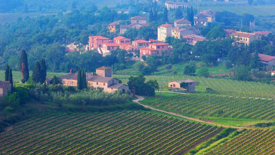 أشهر المناطق لزراعة العنب وإنتاج النبيذ في أوروبا صورة رقم 1