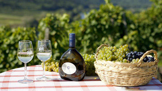 أشهر المناطق لزراعة العنب وإنتاج النبيذ في أوروبا صورة رقم 7