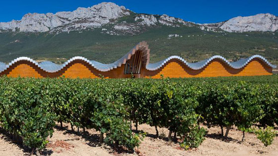 أشهر المناطق لزراعة العنب وإنتاج النبيذ في أوروبا صورة رقم 10