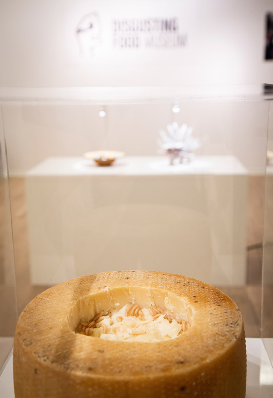 صور متحف للأطعمة المقززة والنتنة منها قضيب الثور النيئ وجبنة بالدود صورة رقم 22