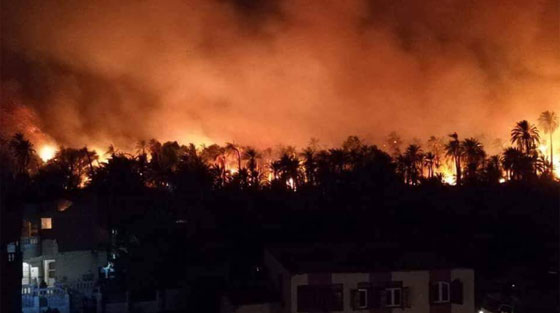 فيديو مروّع: حريق يلتهم قرية الراشدة المصرية والمواطنون يستغيثون: الحقونا! صورة رقم 2