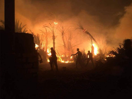 فيديو مروّع: حريق يلتهم قرية الراشدة المصرية والمواطنون يستغيثون: الحقونا! صورة رقم 5