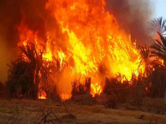 فيديو مروّع: حريق يلتهم قرية الراشدة المصرية والمواطنون يستغيثون: الحقونا! صورة رقم 8