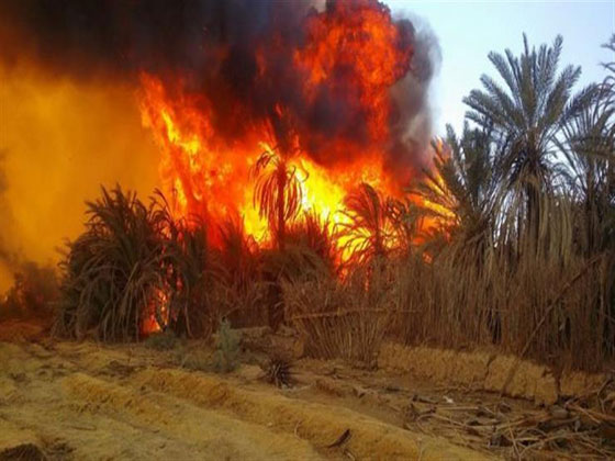 فيديو مروّع: حريق يلتهم قرية الراشدة المصرية والمواطنون يستغيثون: الحقونا! صورة رقم 9