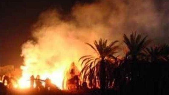 فيديو مروّع: حريق يلتهم قرية الراشدة المصرية والمواطنون يستغيثون: الحقونا! صورة رقم 10