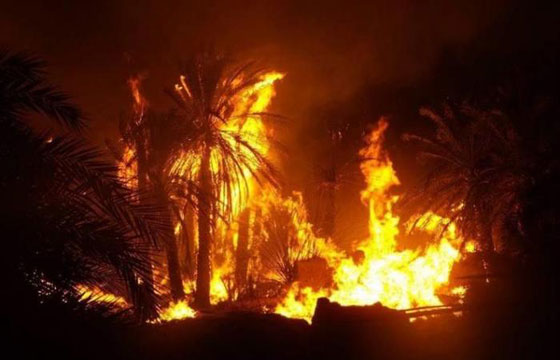 فيديو مروّع: حريق يلتهم قرية الراشدة المصرية والمواطنون يستغيثون: الحقونا! صورة رقم 15