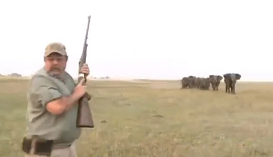 بالفيديو.. قطيع أفيال يهاجم صيادين لإطلاقهم النار على واحد منهم صورة رقم 3