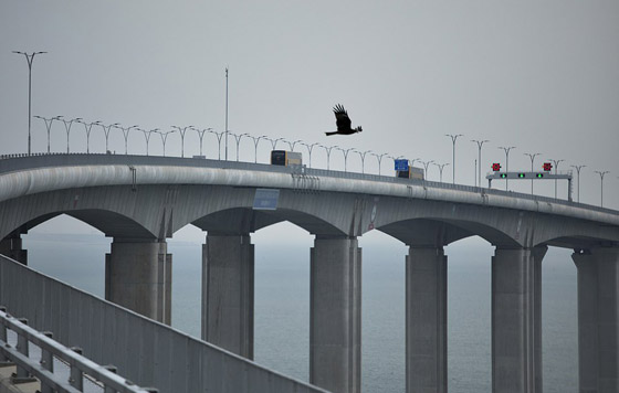 بالفيديو والصور: الصين تفتتح أطول جسر مائي في العالم بطول 55 كيلومترا صورة رقم 2
