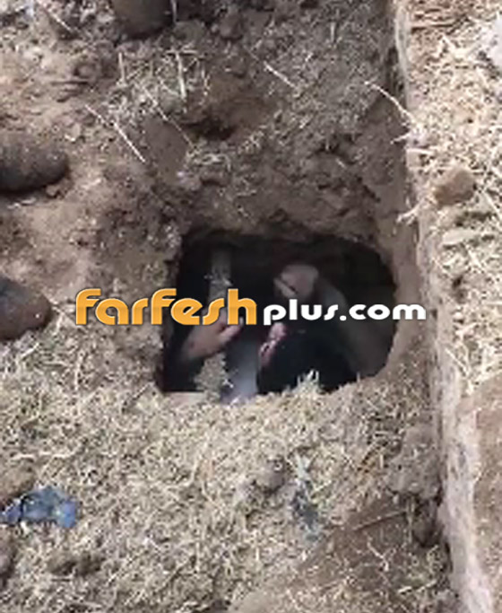 بالفيديو: الشرطة العراقية تعثر على قيادي ارهابي داعشي مختبئ تحت الأرض صورة رقم 8