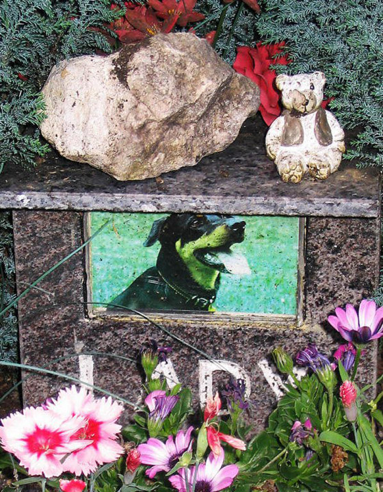 بالصور: أجمل مقبرة خضراء ومزهرة للحيوانات الأليفة في ألمانيا صورة رقم 5