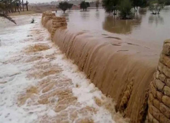 الكارثة تتجدد: ارتفاع عدد الضحايا وإجلاء الآلاف جراء السيول والأمطار في الأردن صورة رقم 15