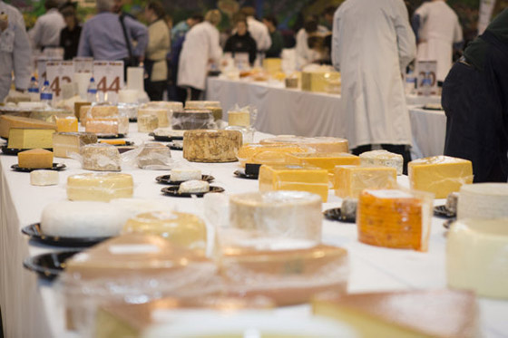 فيديو وصور: إليكم الجبن الأفضل الفائز بمسابقة أفضل نوع جبن في العالم صورة رقم 13