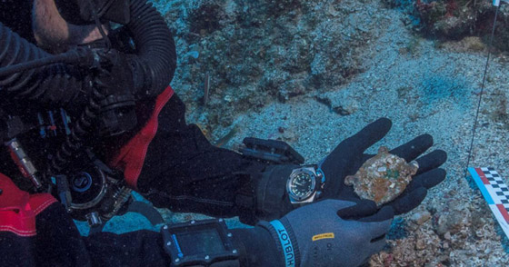 العثور على قطعة حاسوب عمرها اكثر من ألفي عام في قاع البحر المتوسط صورة رقم 4