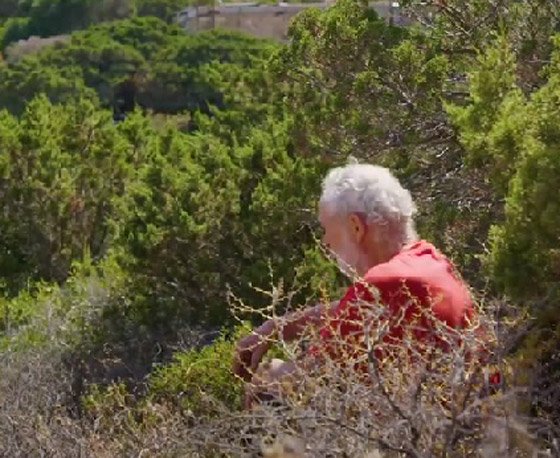 بالفيديو.. رجل يعيش لوحده على جزيرة جنة الأرض منذ عشرات السنين صورة رقم 1