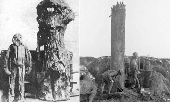 لهذا الغرض استخدمت الأشجار خلال الحرب الكبرى صورة رقم 4