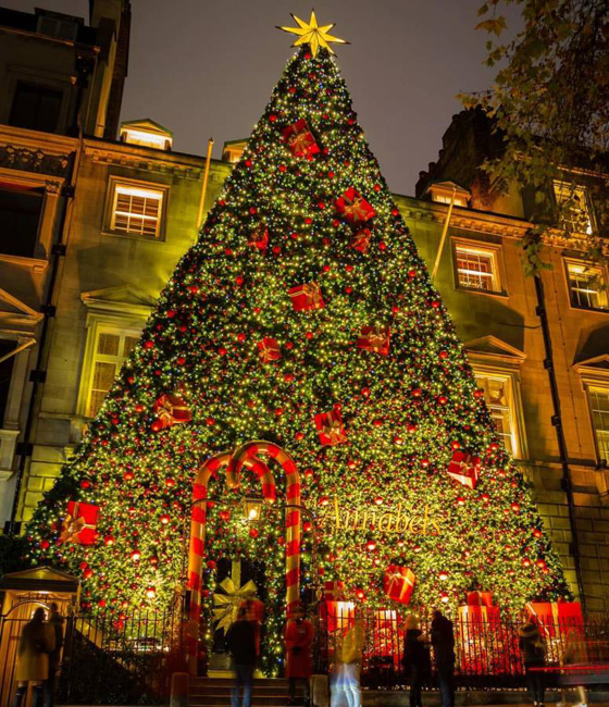 صور رائعة.. أجمل أشجار الميلاد حول العالم في هذه السنة صورة رقم 1