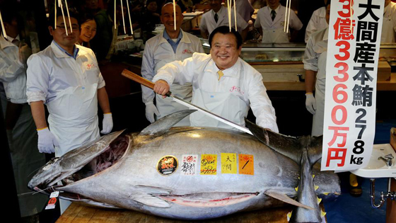 بالفيديو والصور.. بيع سمكة تونة بـ3 ملايين دولار في اليابان صورة رقم 1