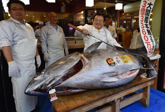 بالفيديو والصور.. بيع سمكة تونة بـ3 ملايين دولار في اليابان صورة رقم 2