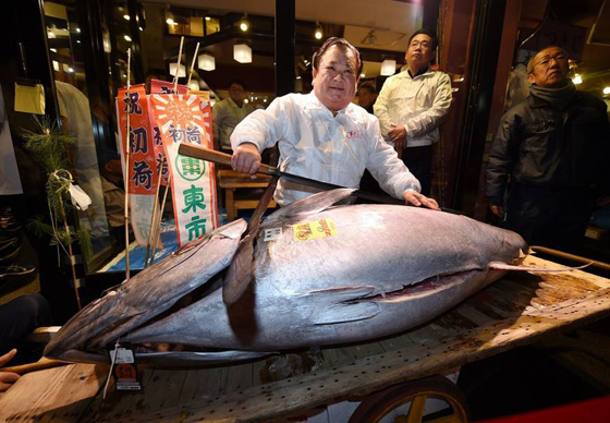 بالفيديو والصور.. بيع سمكة تونة بـ3 ملايين دولار في اليابان صورة رقم 3