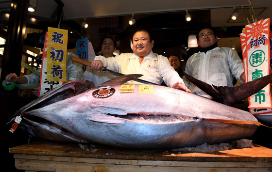 بالفيديو والصور.. بيع سمكة تونة بـ3 ملايين دولار في اليابان صورة رقم 5