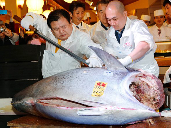 بالفيديو والصور.. بيع سمكة تونة بـ3 ملايين دولار في اليابان صورة رقم 7