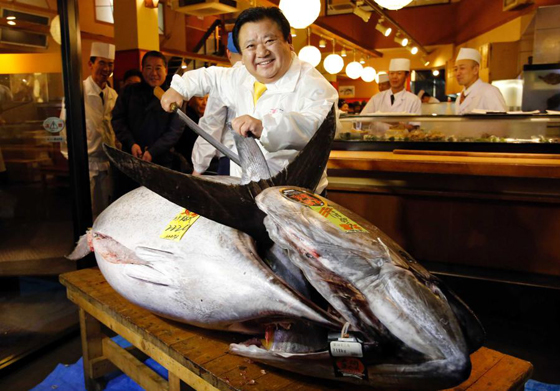 بالفيديو والصور.. بيع سمكة تونة بـ3 ملايين دولار في اليابان صورة رقم 10