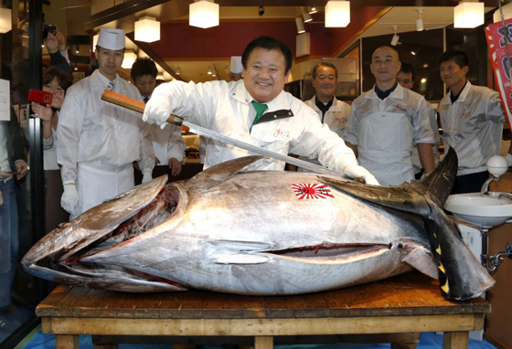 بالفيديو والصور.. بيع سمكة تونة بـ3 ملايين دولار في اليابان صورة رقم 11