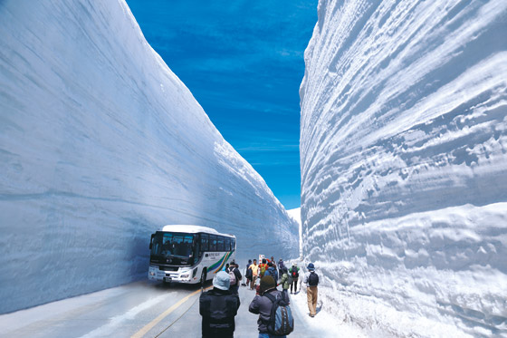 صور مدهشة..  تعرّفوا إلى أكثر مدينة تتساقط فيها الثلوج في العالم! صورة رقم 5