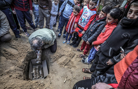 موت أربعة أشبال بسبب البرد في حديقة حيوان بغزة صورة رقم 10