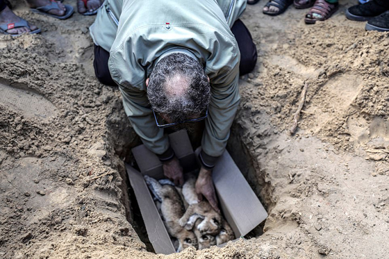موت أربعة أشبال بسبب البرد في حديقة حيوان بغزة صورة رقم 9