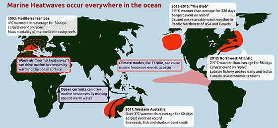 محيطات وبحار العالم امتصت حرارة تعادل 150 مليون قنبلة هيروشيما صورة رقم 5