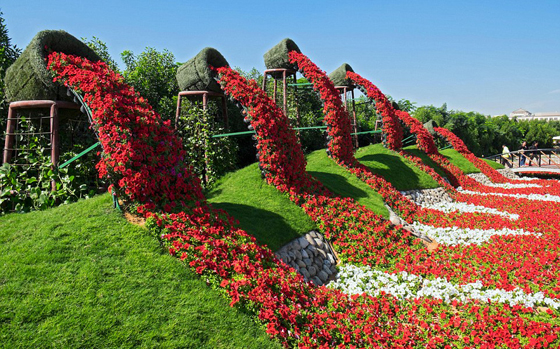 التايمز تسلط الضوء على (دبى جاردن) احدى أفضل 50 حديقة عالمية صورة رقم 11