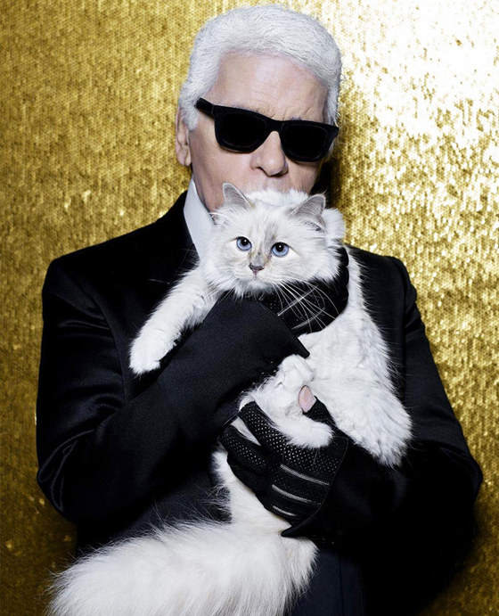 قطة محظوظة: مصمم الأزياء الشهير كارل لاغرفيلد يورث قطته الملايين! صورة رقم 1