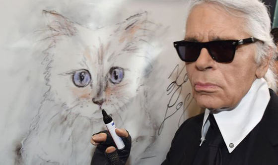 قطة محظوظة: مصمم الأزياء الشهير كارل لاغرفيلد يورث قطته الملايين! صورة رقم 7