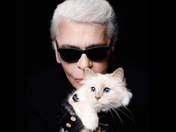 قطة محظوظة: مصمم الأزياء الشهير كارل لاغرفيلد يورث قطته الملايين! صورة رقم 9