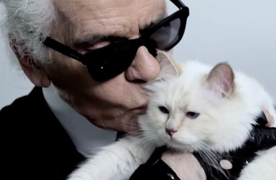 قطة محظوظة: مصمم الأزياء الشهير كارل لاغرفيلد يورث قطته الملايين! صورة رقم 10