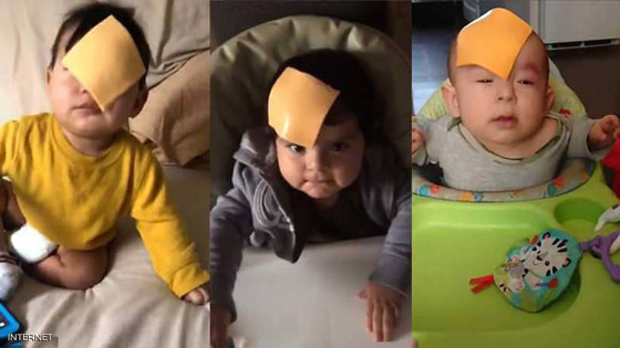 بالفيديو:آخر التحديات الجنونية..  رمي شرائح الجبنة على وجوه الأطفال صورة رقم 1