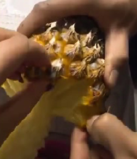 فيديو كيف تأكل الأناناس بطريقة جديدة يثير ضجة على مواقع التواصل صورة رقم 1